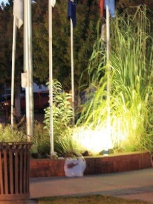 Veteran's Park