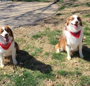 Stewart Dog Park