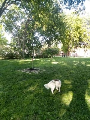 Stewart Dog Park