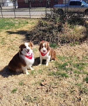 Stewart Dog Park