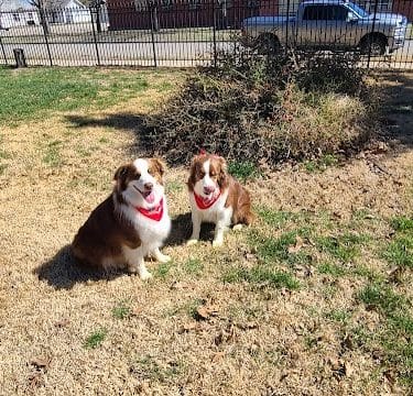 Stewart Dog Park