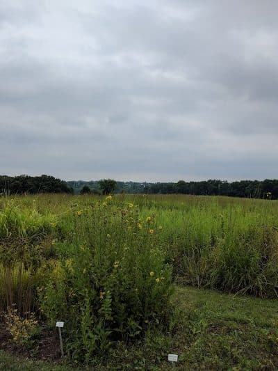 Quail Ridge Park - Wentzville, MO