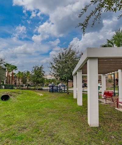 Dog Park - Wesley Chapel, FL