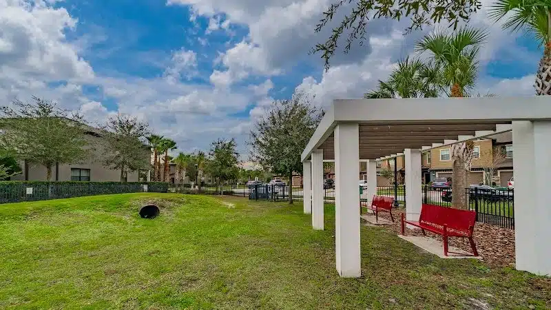 Dog Park - Wesley Chapel, FL