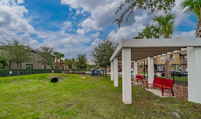 Dog Park - Wesley Chapel, FL