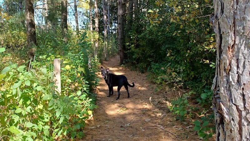 Sandy Paws Dog Park - West Bend, WI