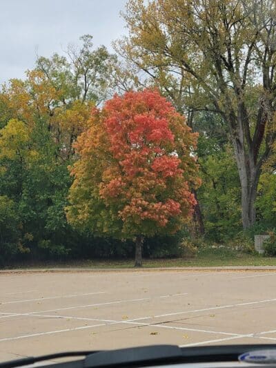 Holiday Park - West Des Moines, IA
