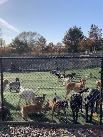 Raccoon River Kennels - West Des Moines, IA