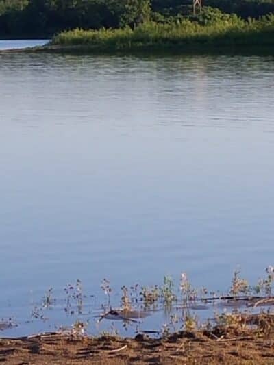 Raccoon River Park - West Des Moines, IA