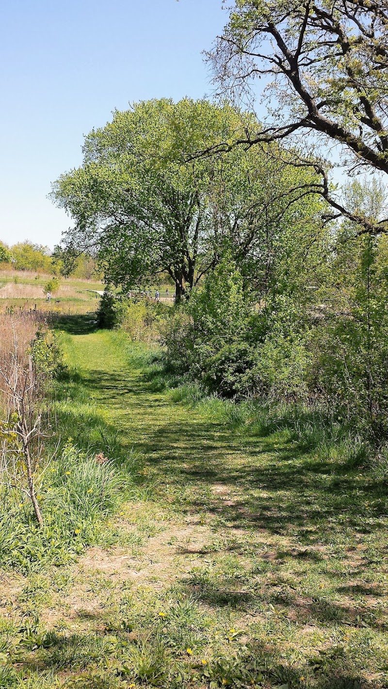 Schweitzer Woods Forest Preserve - West Dundee, IL