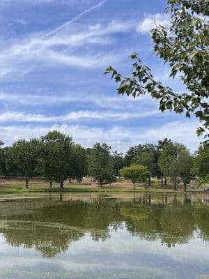 Beachland Park