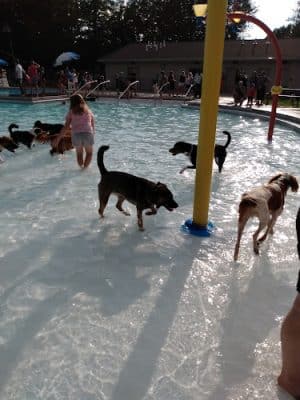 Beachland Park