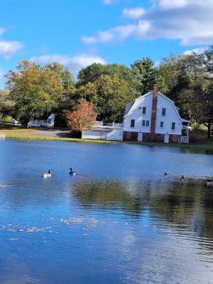 Beachland Park