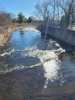 Beachland Park