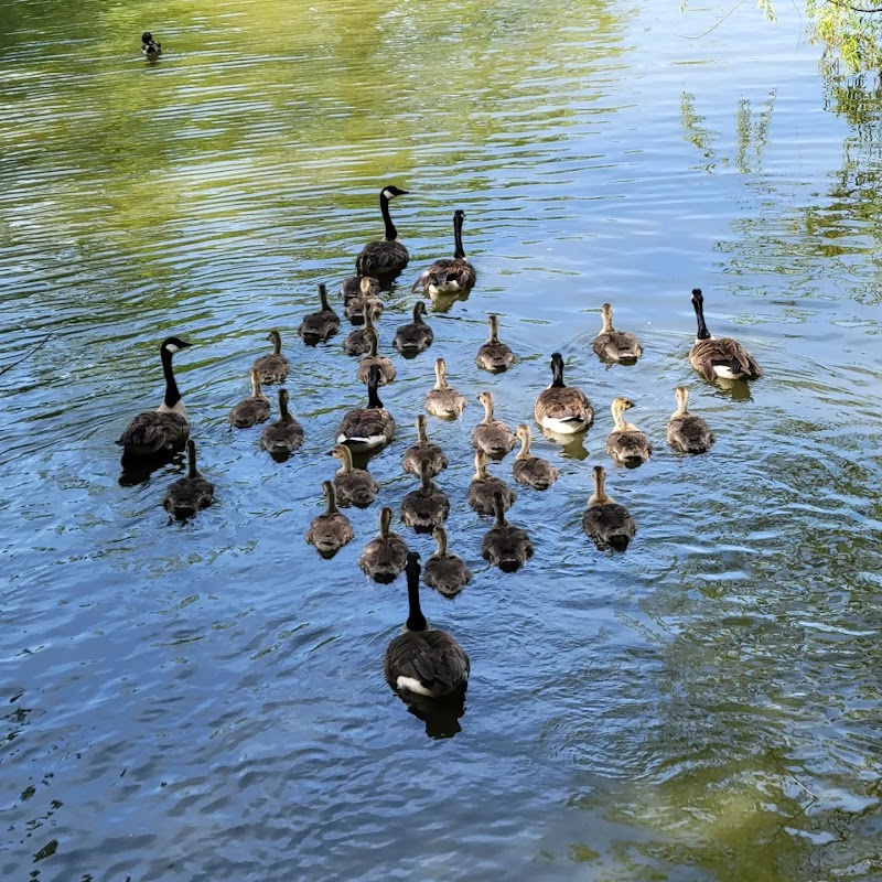 Elizabeth Park - West Hartford, CT