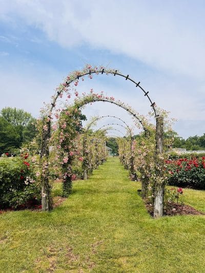 Elizabeth Park - West Hartford, CT