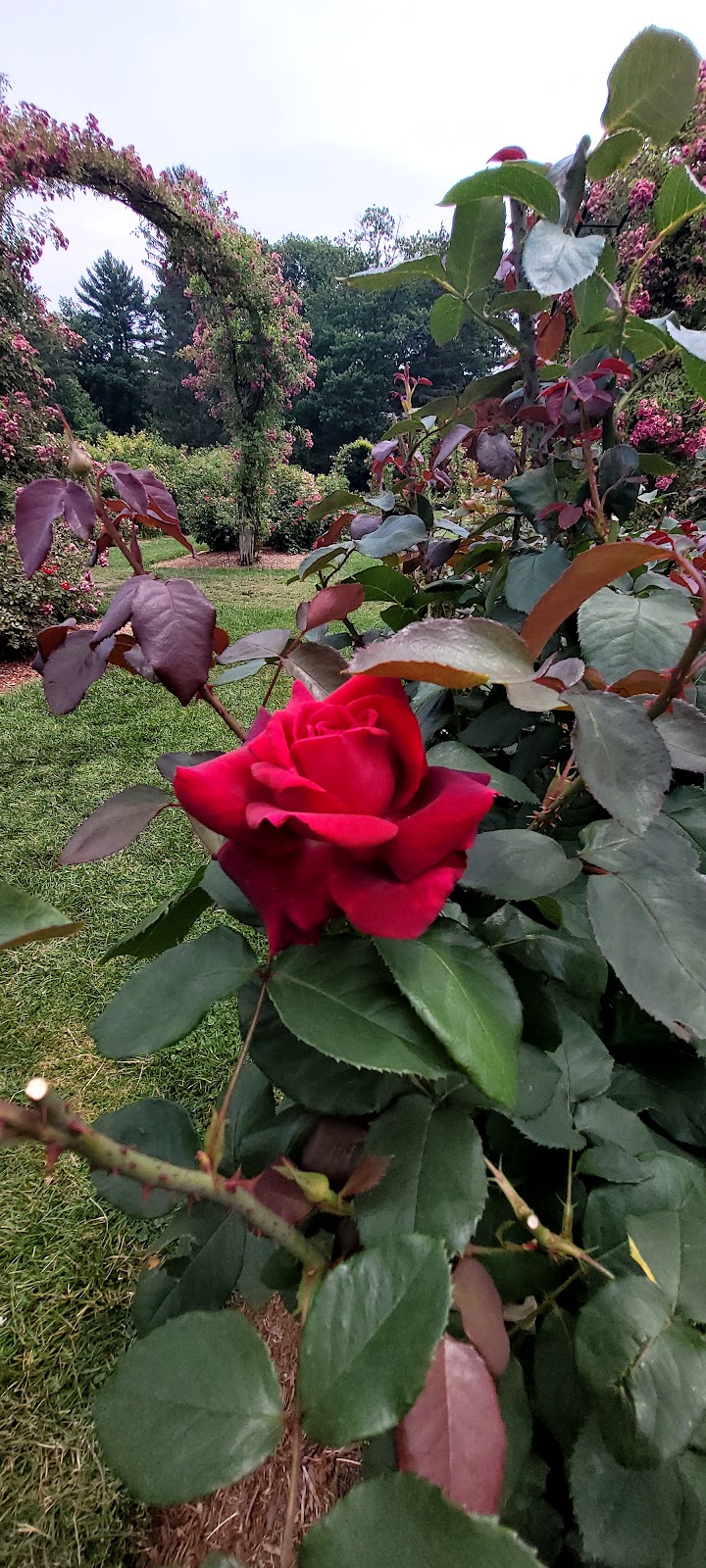 Elizabeth Park Conservancy - West Hartford, CT