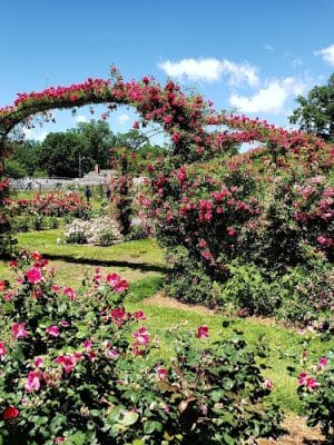 Elizabeth Park Conservancy