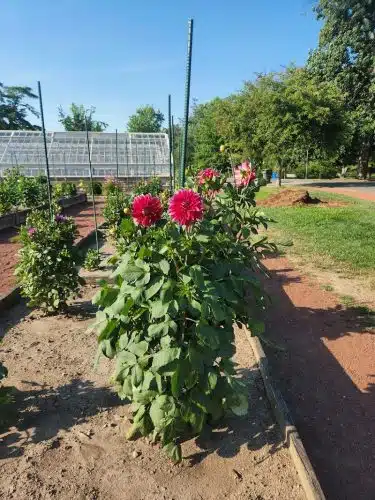 Elizabeth Park Conservancy