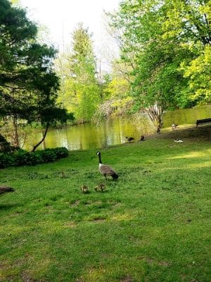 Elizabeth Park Conservancy