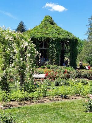 Friends of Elizabeth Park