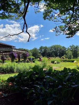 Friends of Elizabeth Park