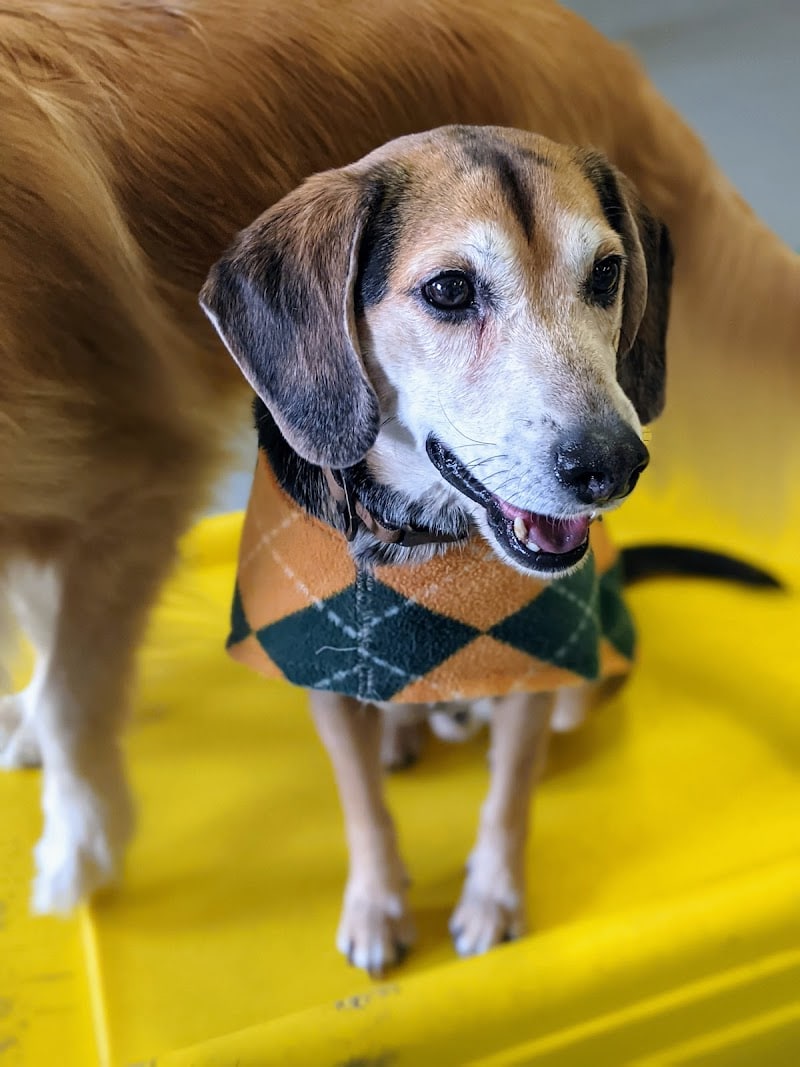 Planet Bark - West Hartford, CT