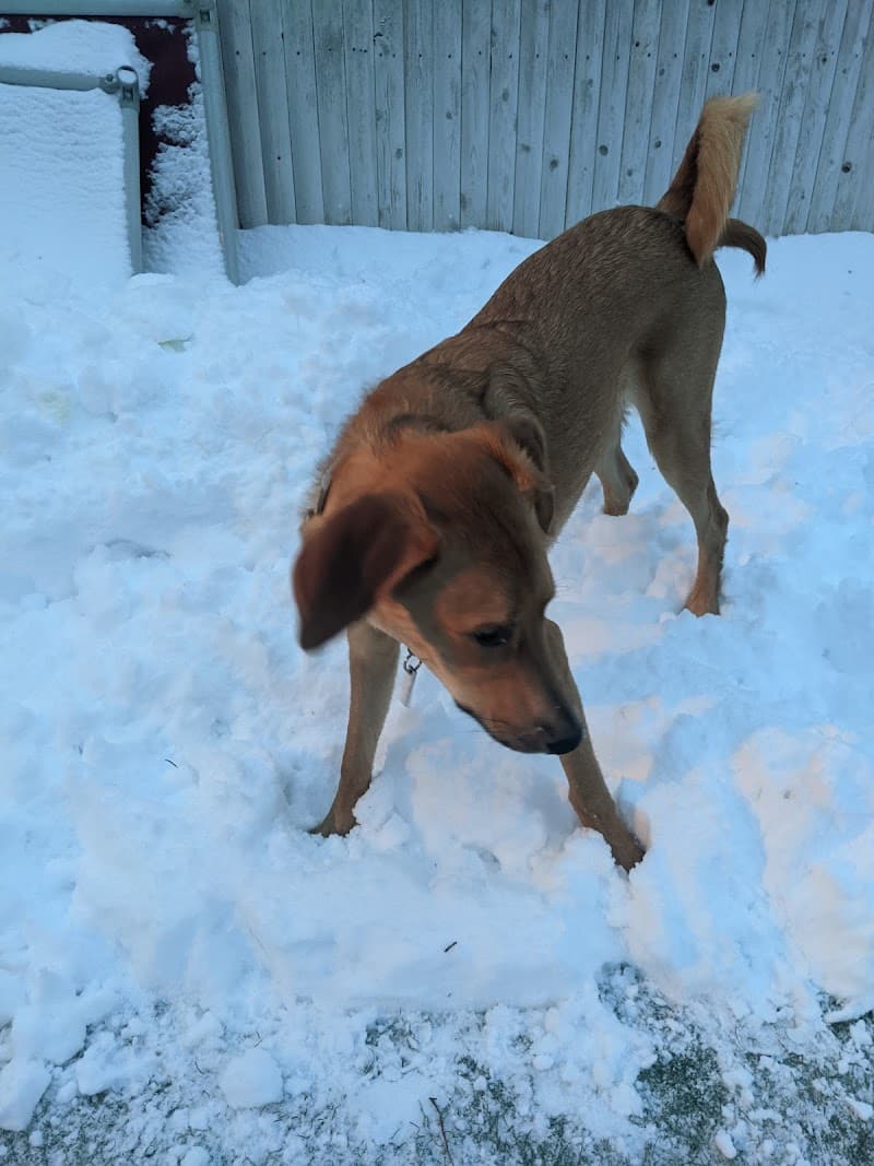 Planet Bark - West Hartford, CT