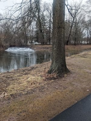 Trout Brook Trail
