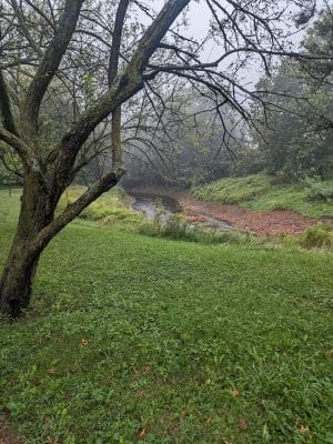 Trout Brook Trail