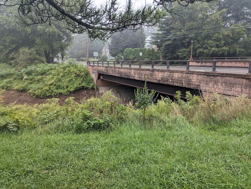Trout Brook Trail - West Hartford, CT