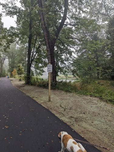 Trout Brook Trail