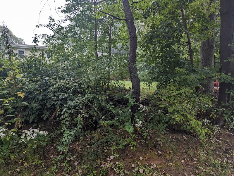 Trout Brook Trail - West Hartford, CT