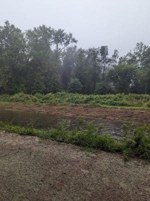 Trout Brook Trail