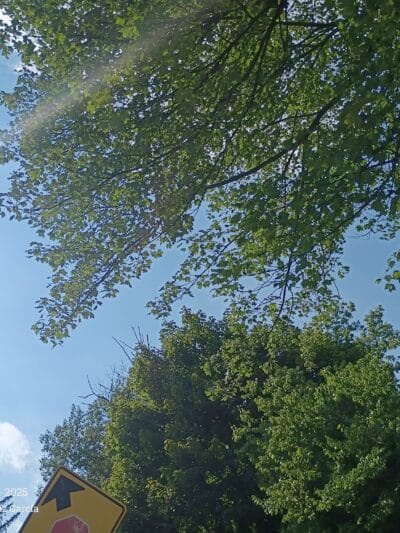 Kennedy Memorial Park Pool - West Hartford, CT