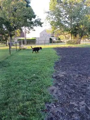 Veterans Memorial Dog Park