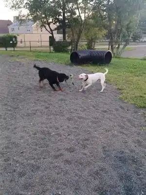 Veterans Memorial Dog Park