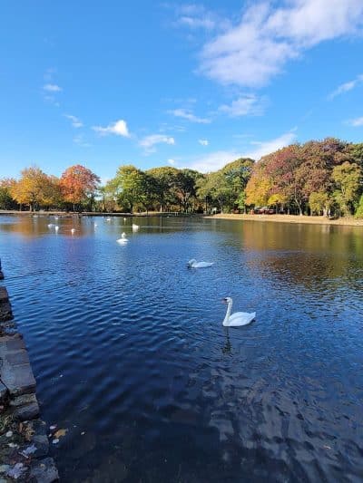 Hempstead Lake State Park - West Hempstead, NY