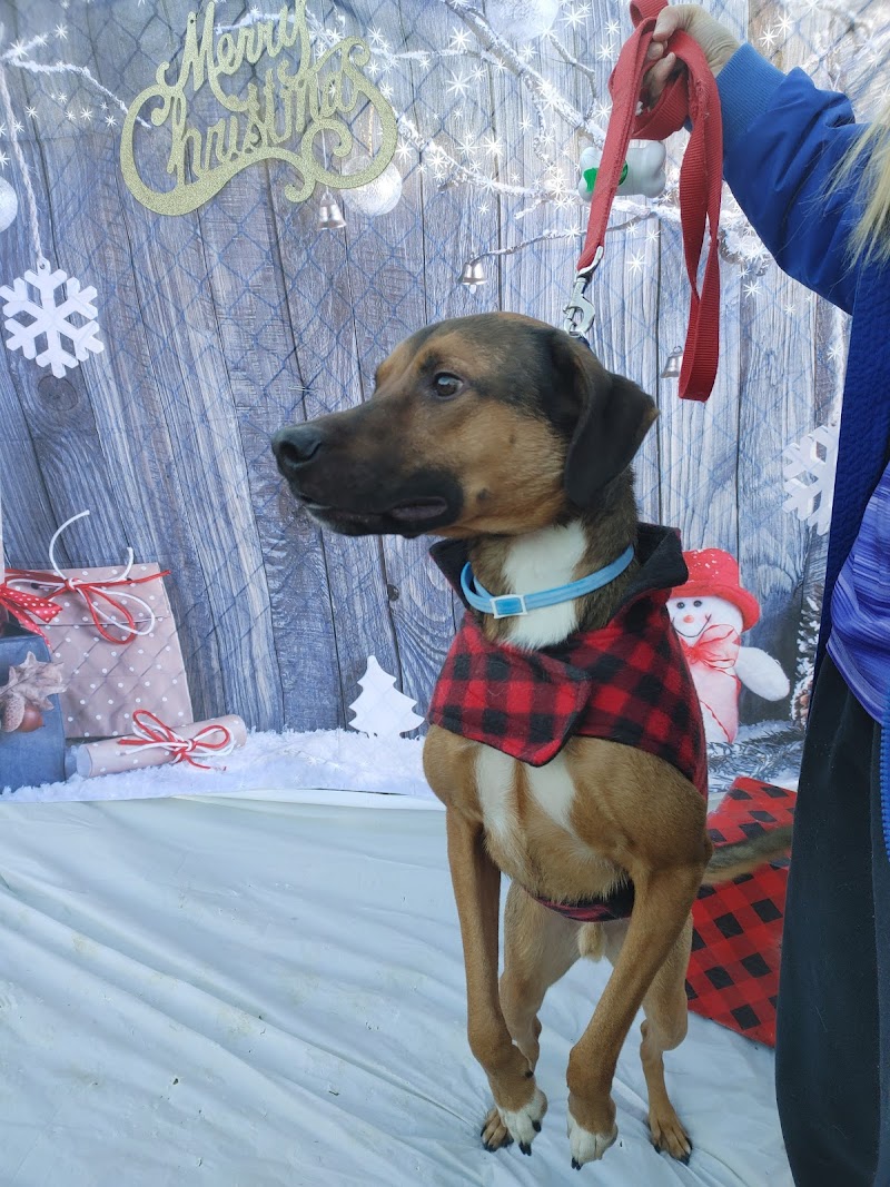 West Mifflin Dog Park - West Mifflin, PA