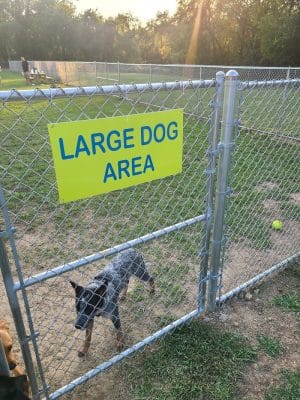 West Mifflin Dog Park