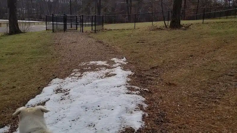 Nosenzo Dog Park - West Milford, NJ