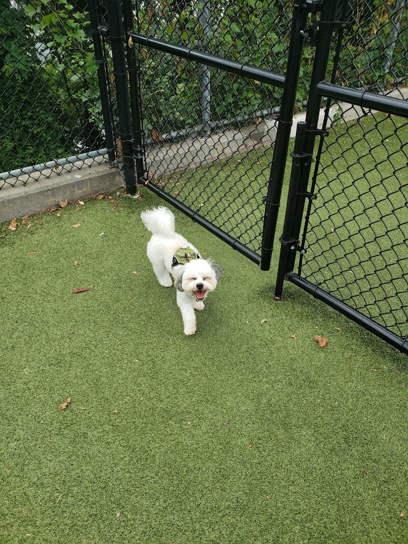 West New York Dog Park - West New York, NJ