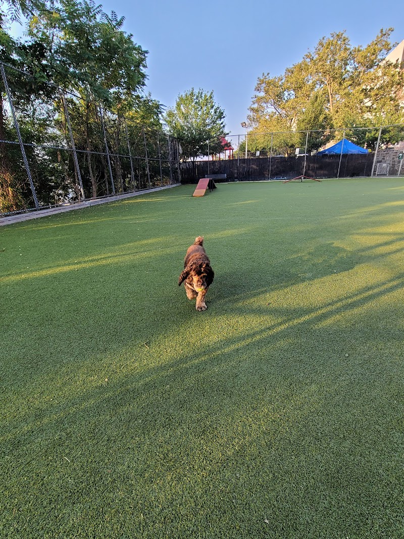West New York Dog Park - West New York, NJ