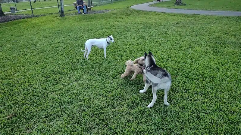 Pooch Pines Dog Park - West Palm Beach, FL
