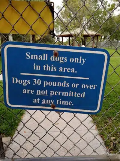 Pooch Pines Dog Park - West Palm Beach, FL