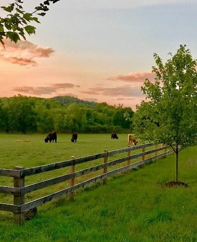 June Farms - West Sand Lake, NY