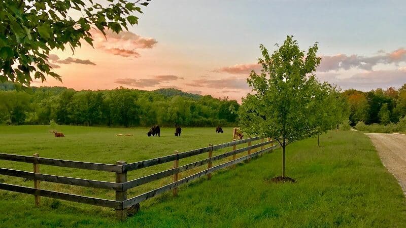 June Farms - West Sand Lake, NY