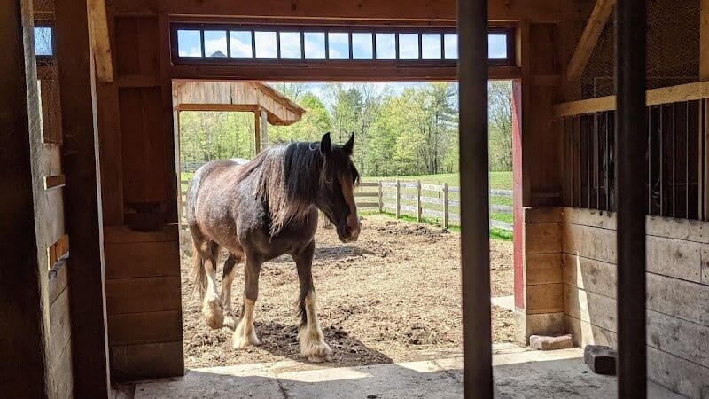 June Farms - West Sand Lake, NY