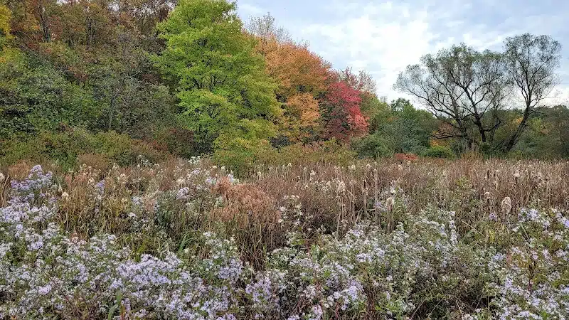 Bagg Brook Heritage Trail - West Springfield, MA