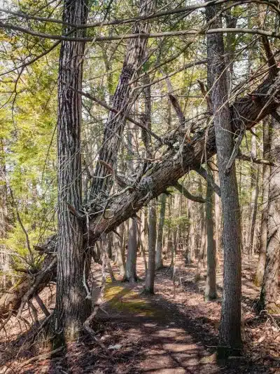Bear Hole Reservoir Parking - West Springfield, MA